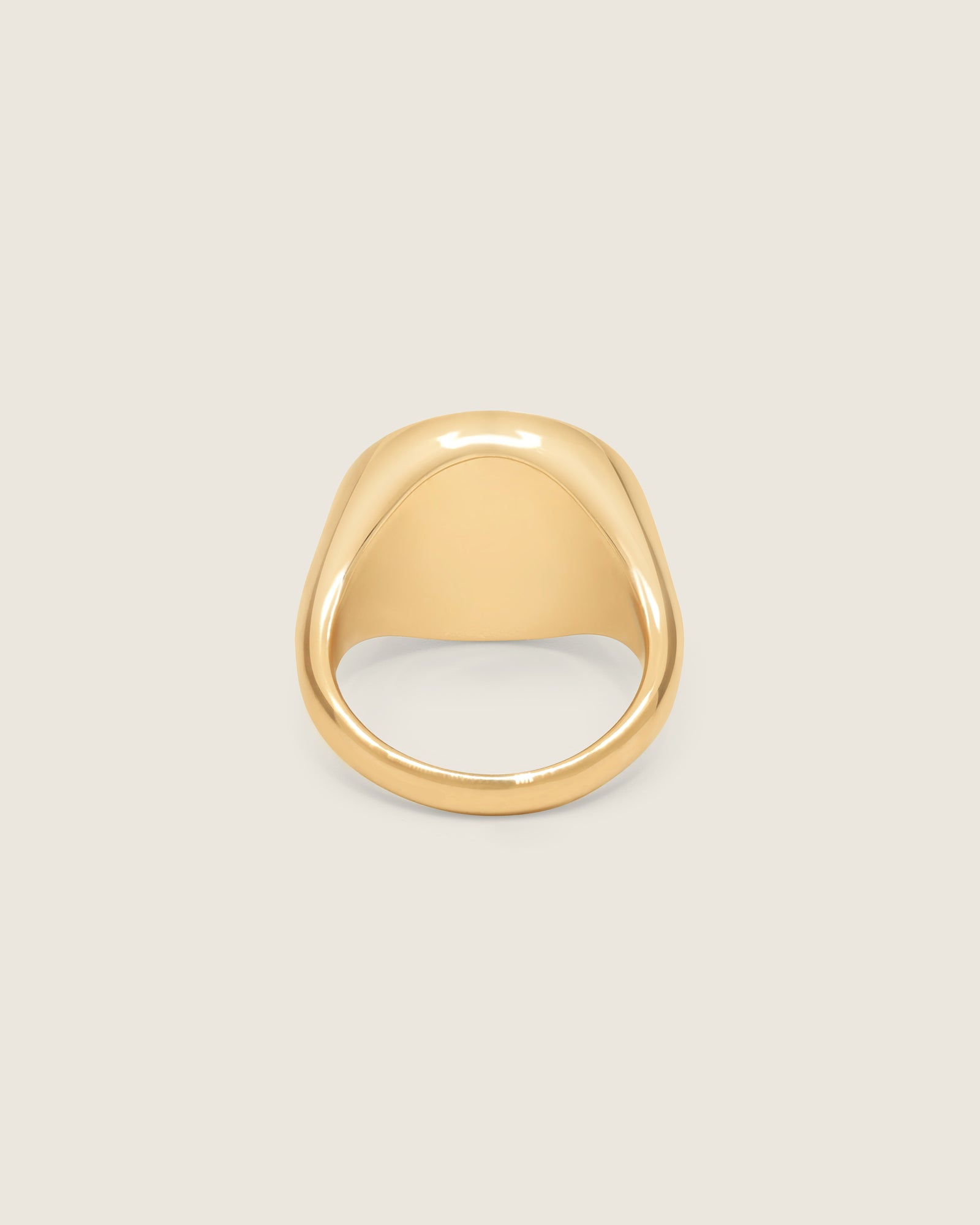 Holding Court Signet Ring